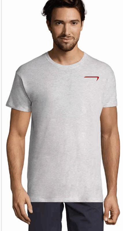 TEE SHIRT GLAZING GRIS