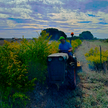 glazing-services-e,virronement-nova-2