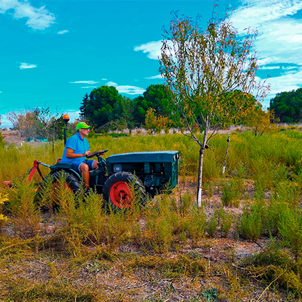 glazing-services-e,virronement-nova-3